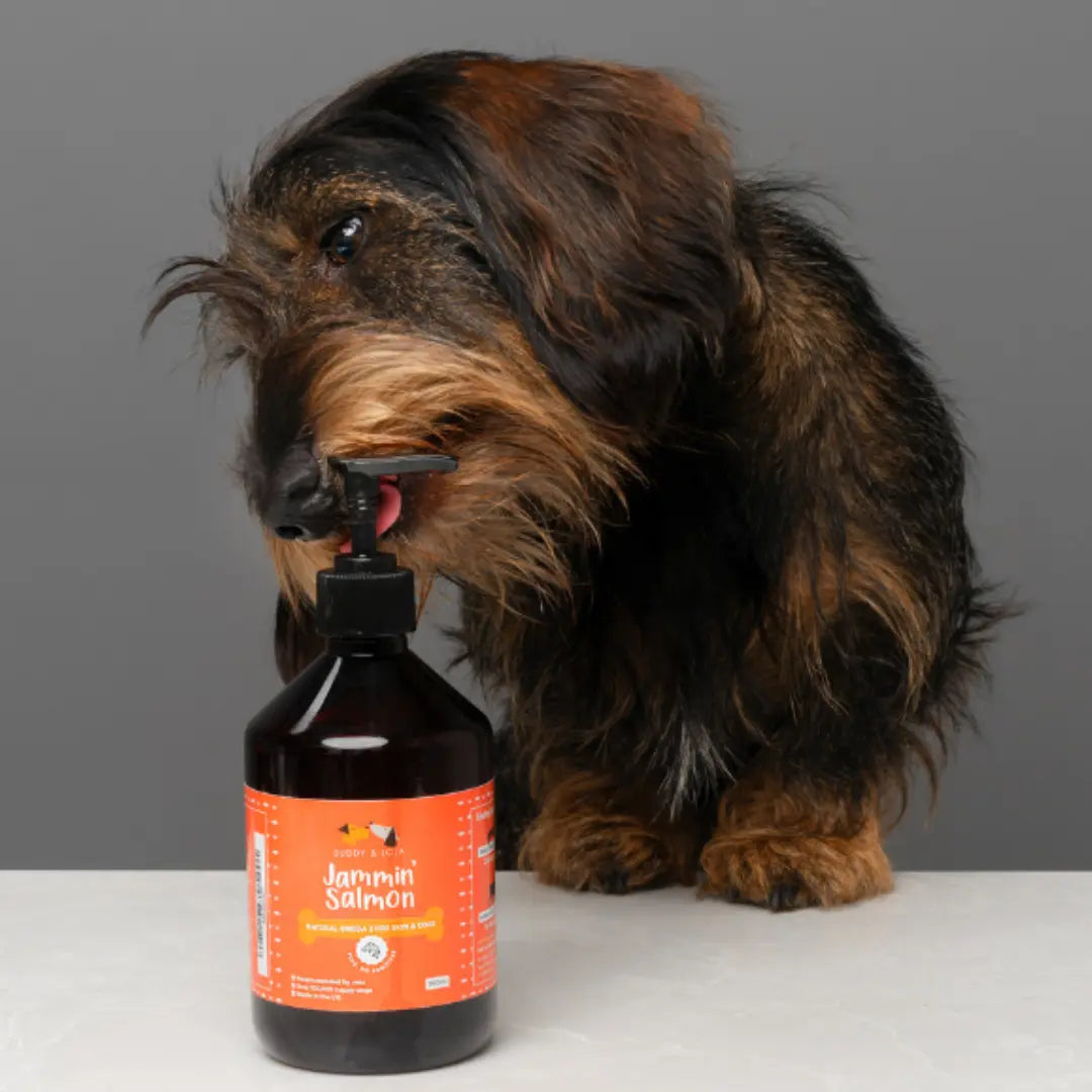 Salmon Oil for dogs