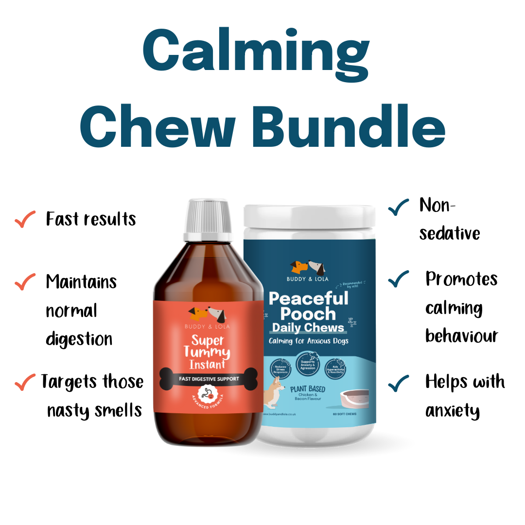 Calming Chew Bundle