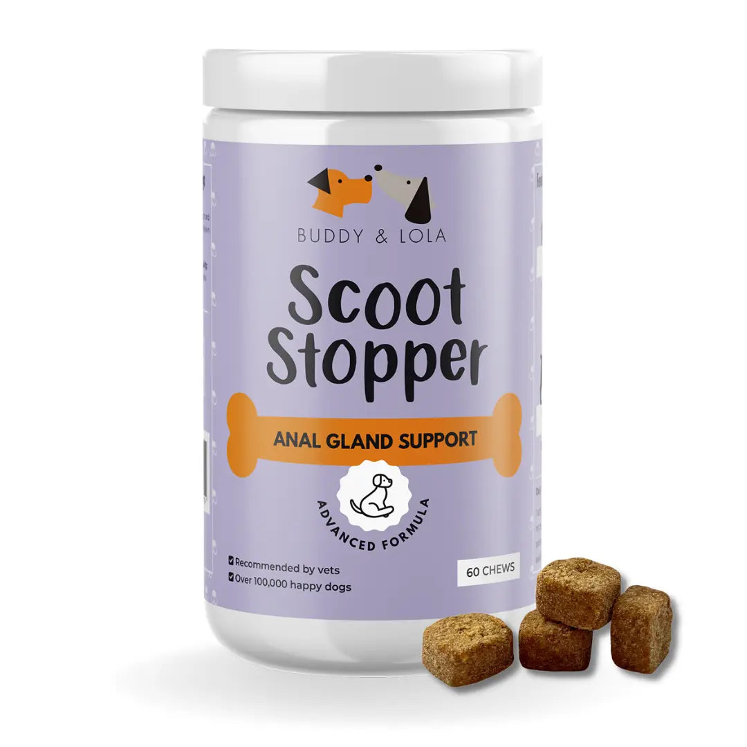 Anal gland support for dogs