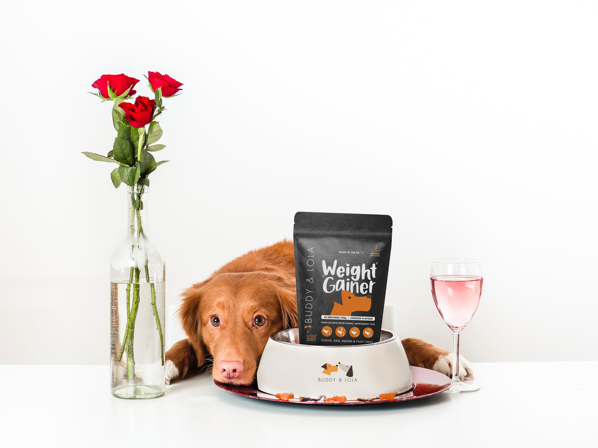 Are our dogs our real Valentines?