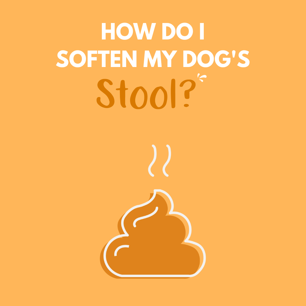 How do I soften my dog’s stool?