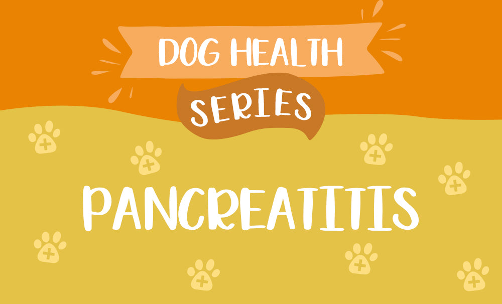 How Can I Tell If my Dog Has Pancreatitis?