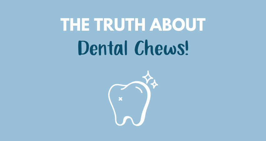The Truth About Dental Chews