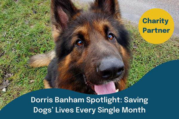 Saving Dogs’ Lives Every Single Month
