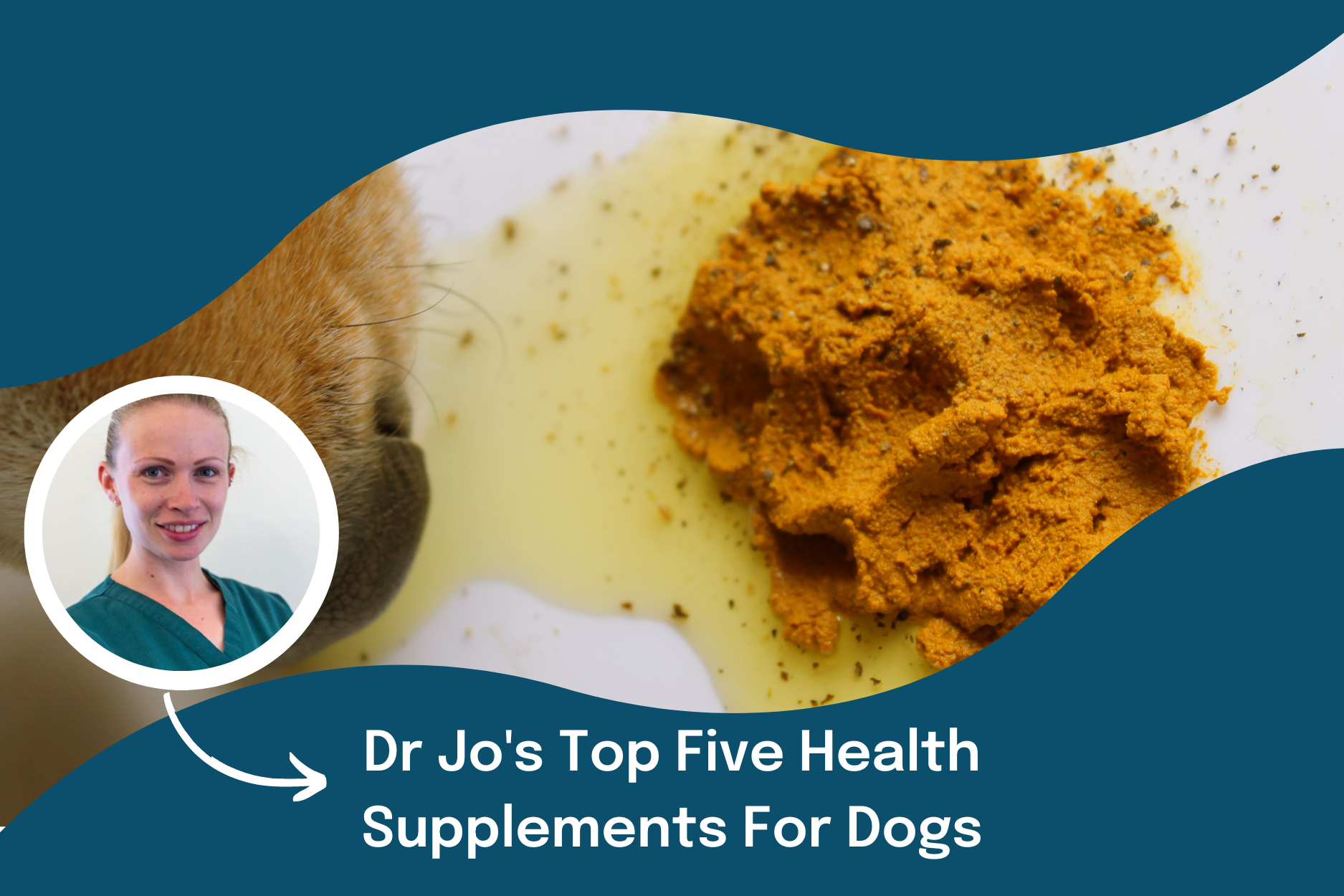 Dr Jo's Top Five Health Supplements For Dogs