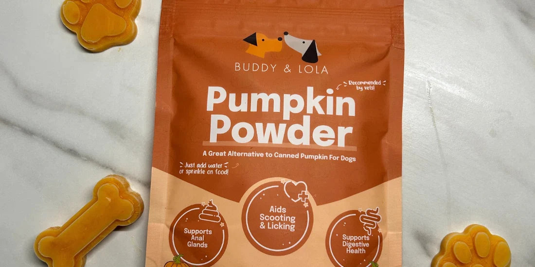 Buddy & Lola pumpkin powder pupsicle treats
