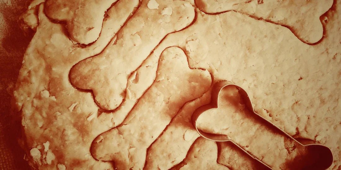 homemade bone shaped dog treats