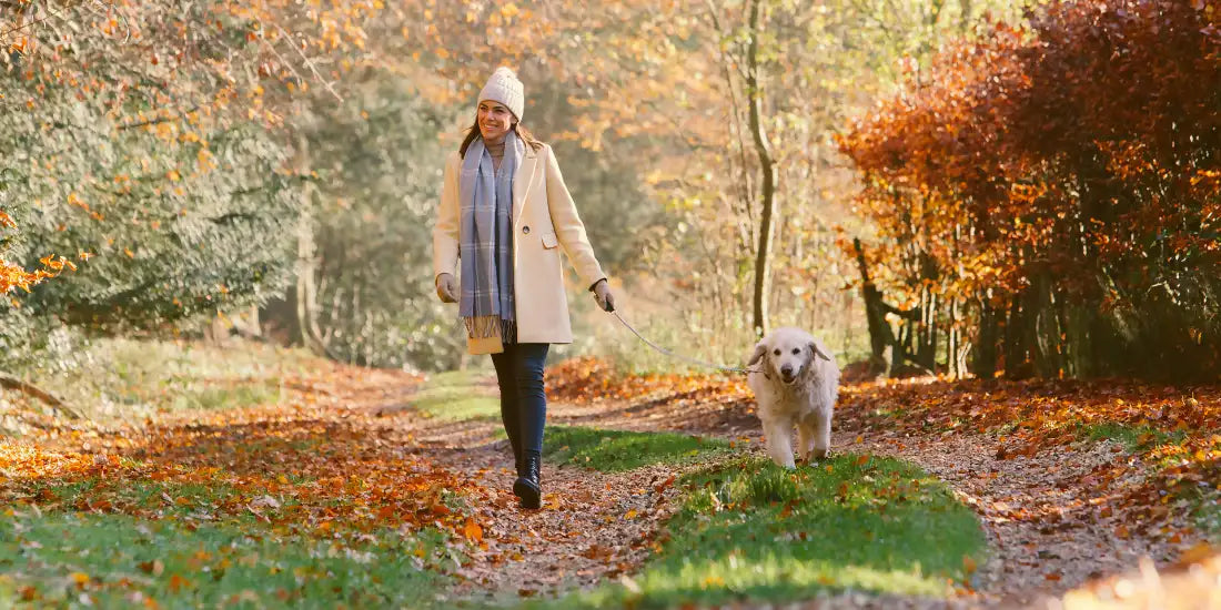 Woman walking golden retriever in autumn