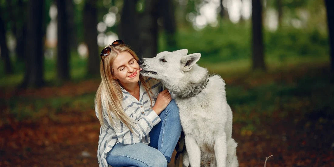dog licking owner