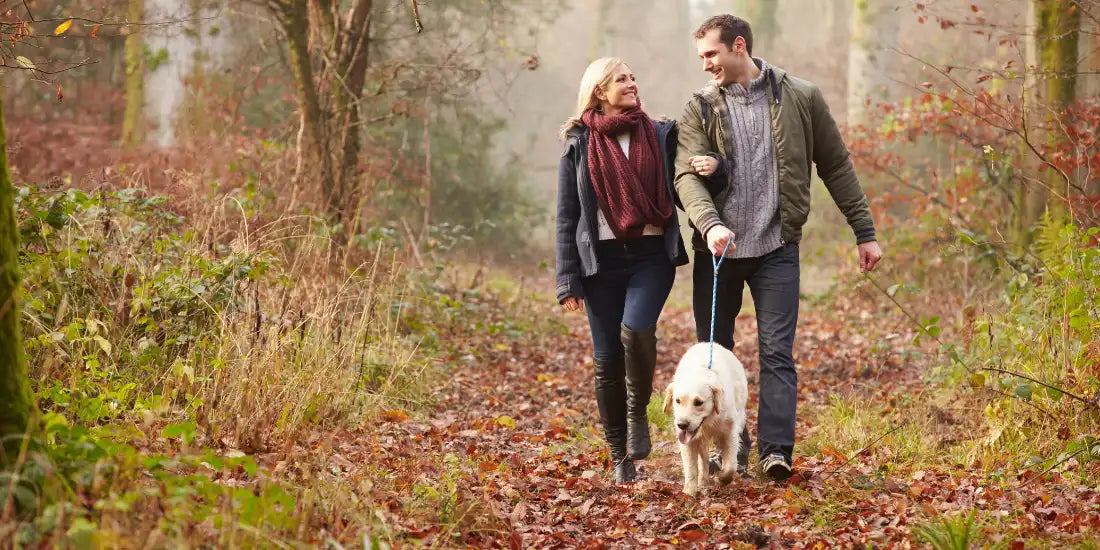 Couple on a winter dog walk