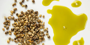 hemp seed oil for dogs