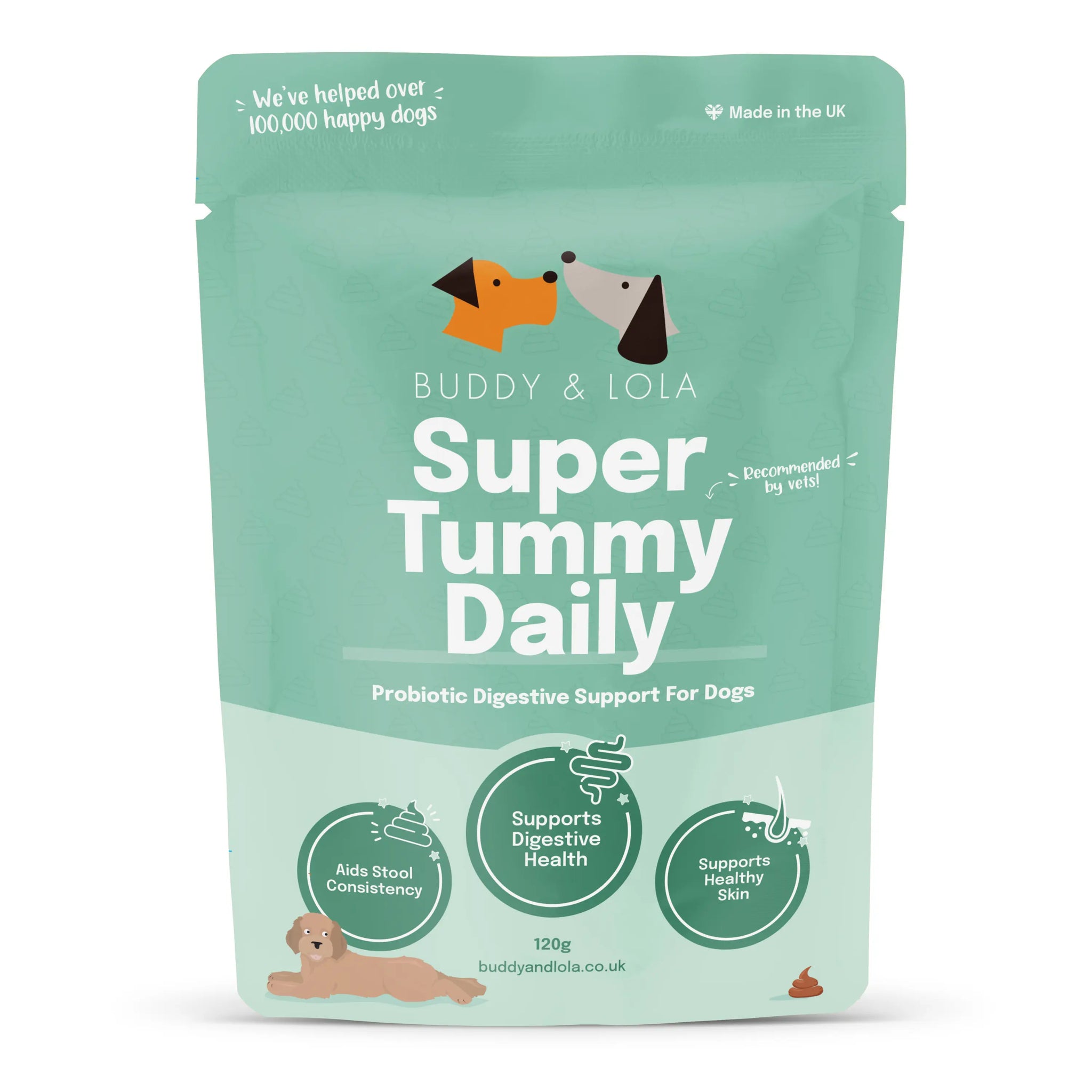 Probiotics for dogs - Main Image