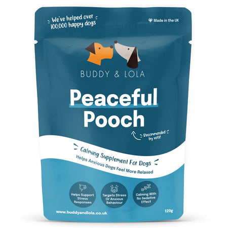 Calming support dogs