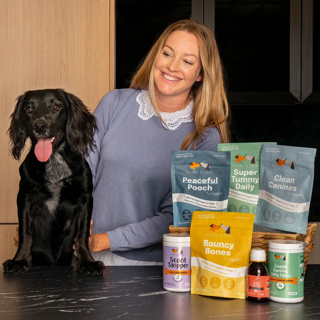 Buddy and sales lola weight gainer