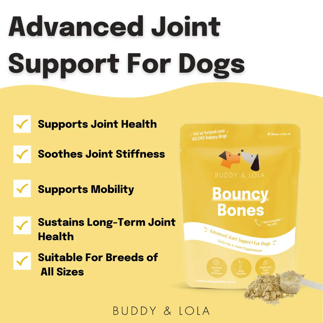 Joint support for dogs