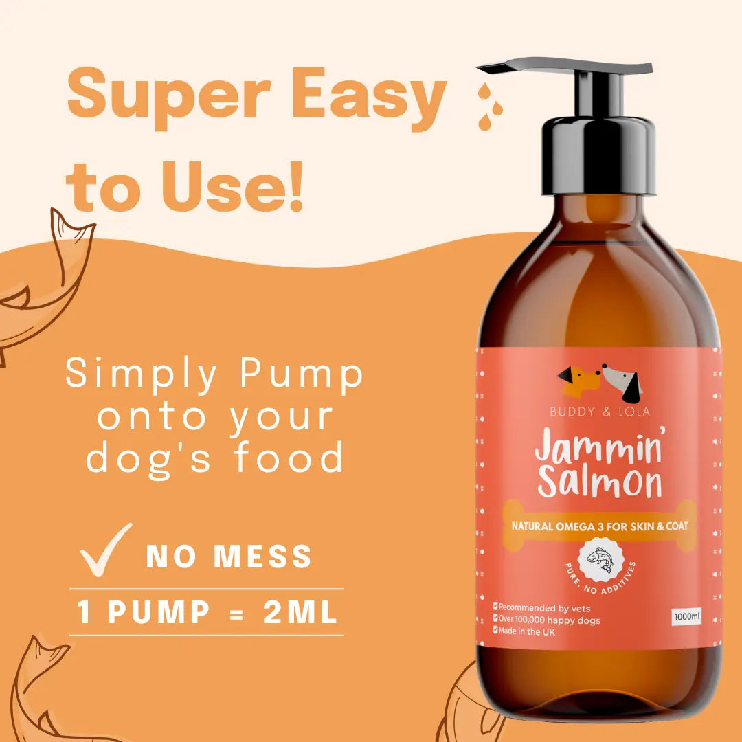 Omega 3 Salmon Oil Supplement For Dogs Buddy Lola