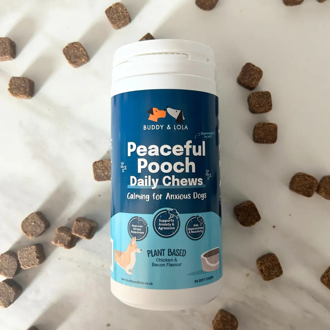 Calming chews for dogs