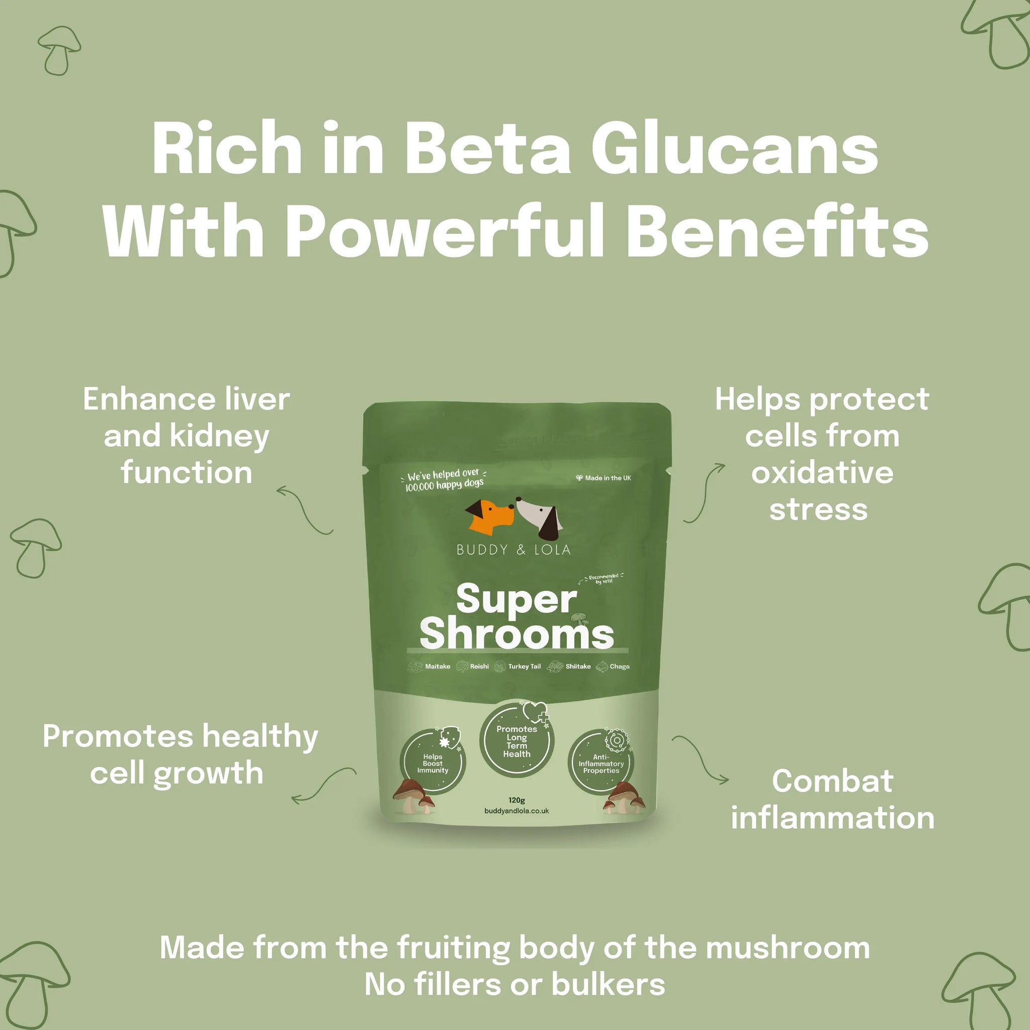 How Super Shrooms is rich in beta glucans and benefits your dog