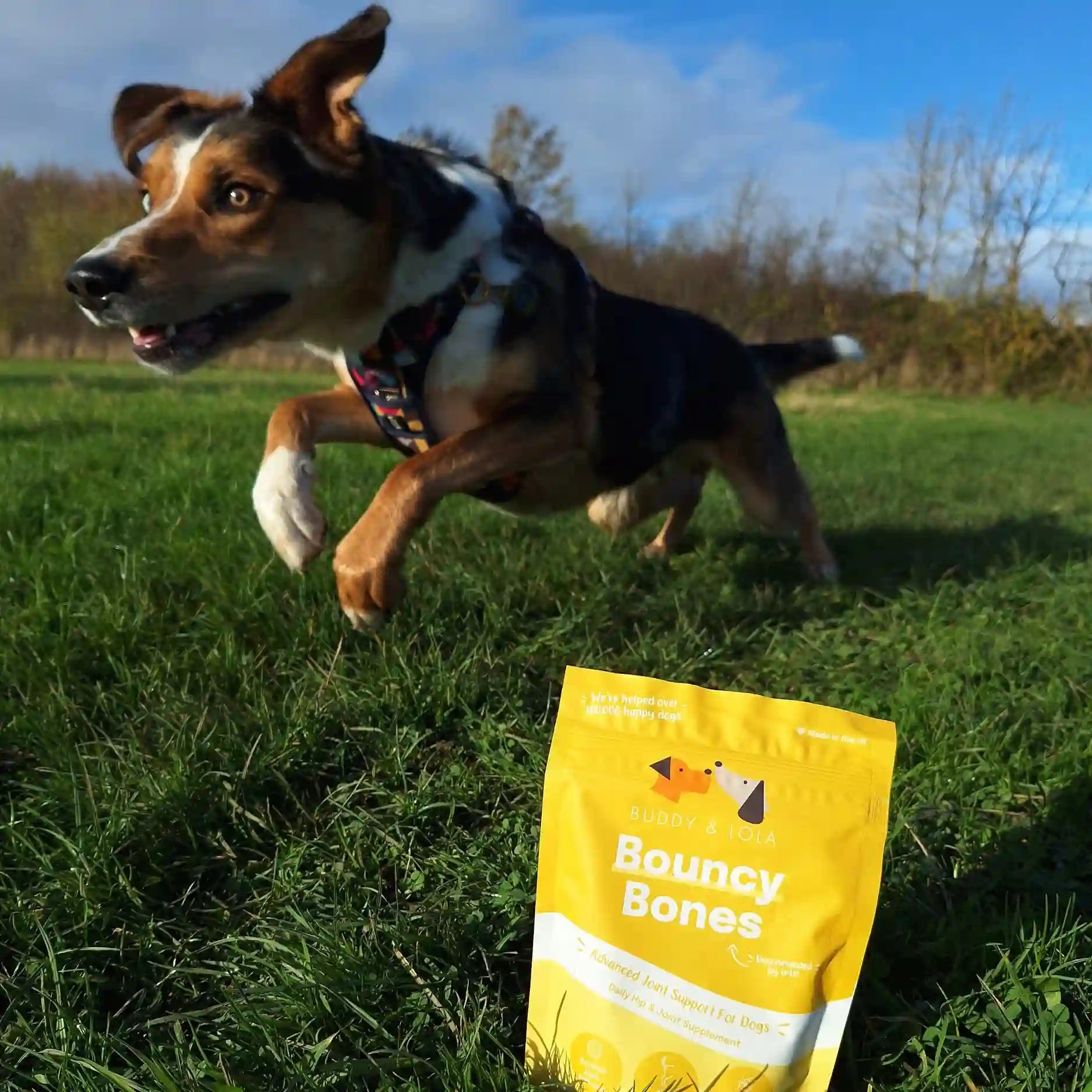 Joint Relief For Dogs Extend - One Month Supply - 30 Pouches - No Box ...
