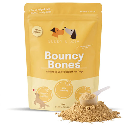 joint support for dogs