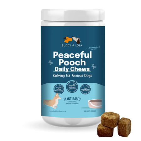 Calming chews dogs