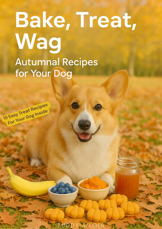 Autumn Treats Recipe eBook