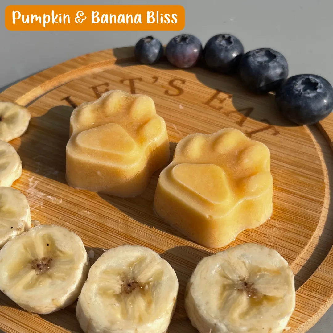 Summer Pupsicle Recipes eBook