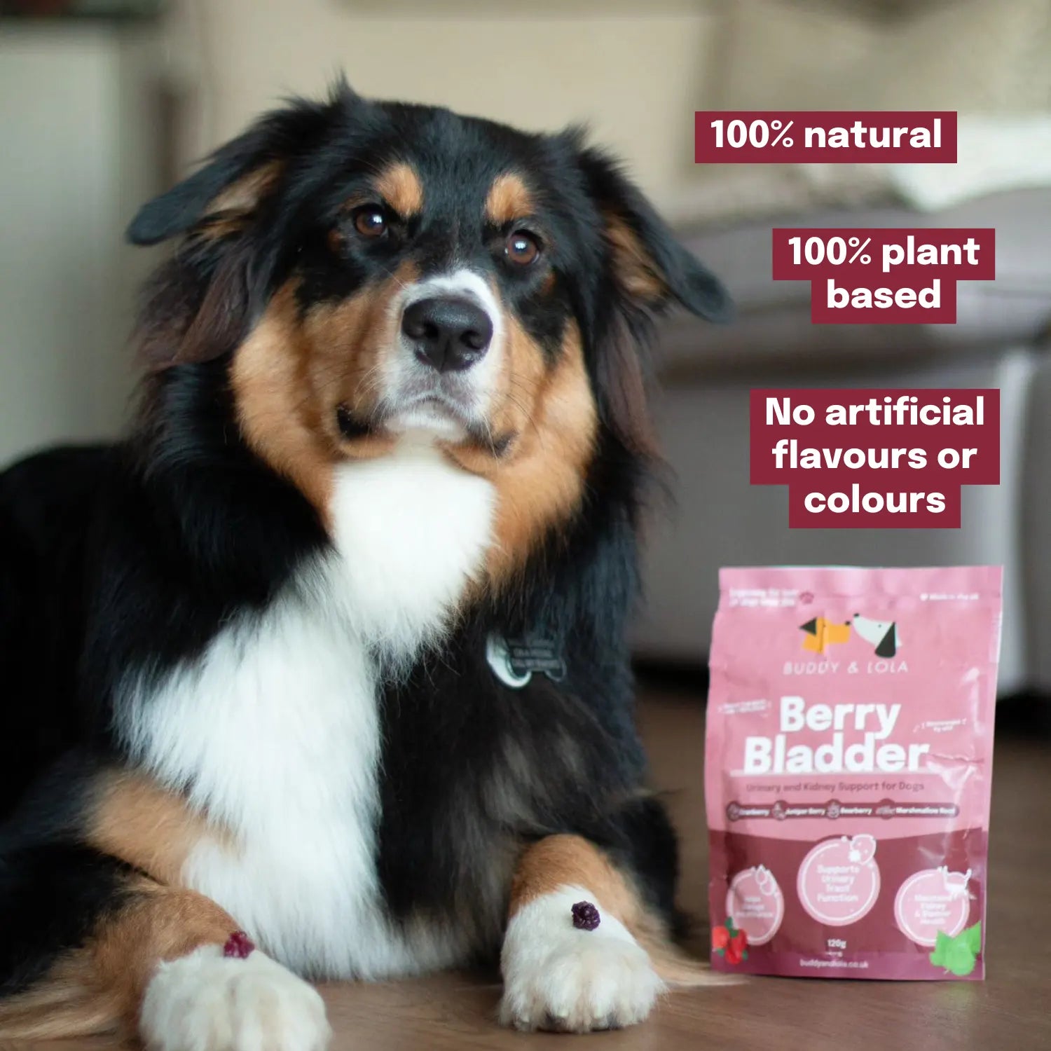 Berry Bladder Natural Kidney Bladder Support for Dogs