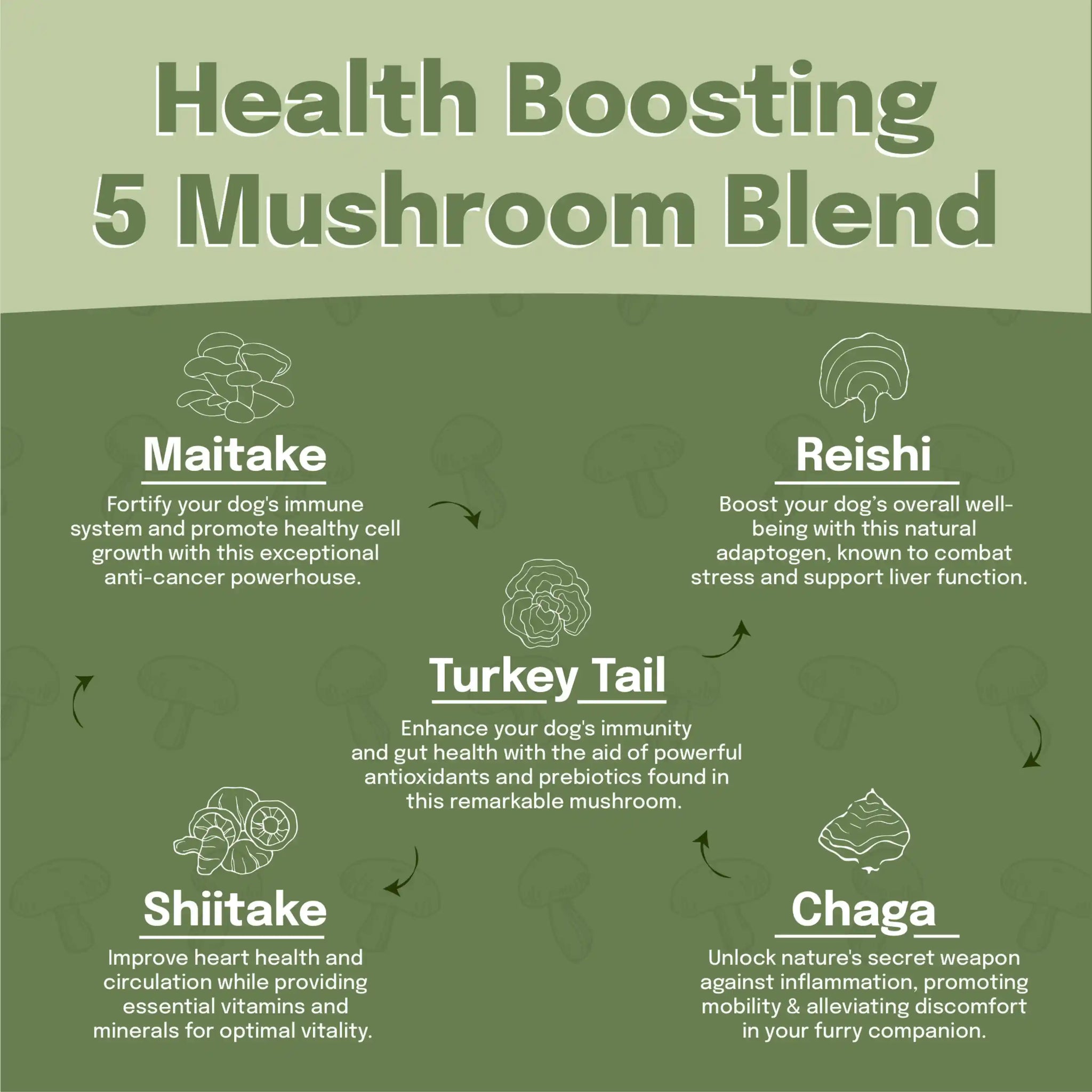 Wholesale - Super Shrooms