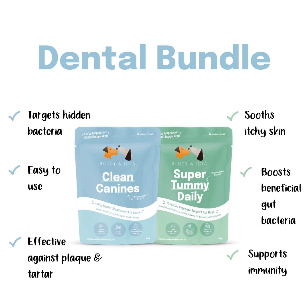 Dental Bundle