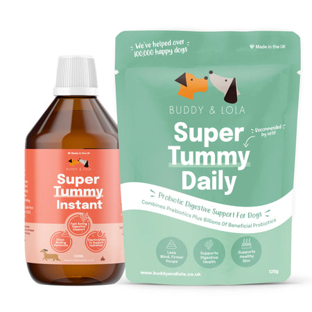 Digestion Bundle