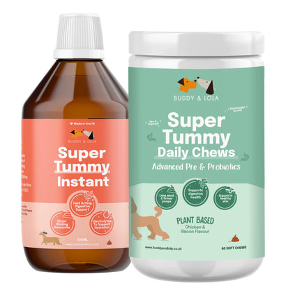 Digestion Chew Bundle