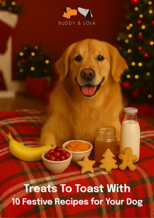 Festive Treats Recipe eBook