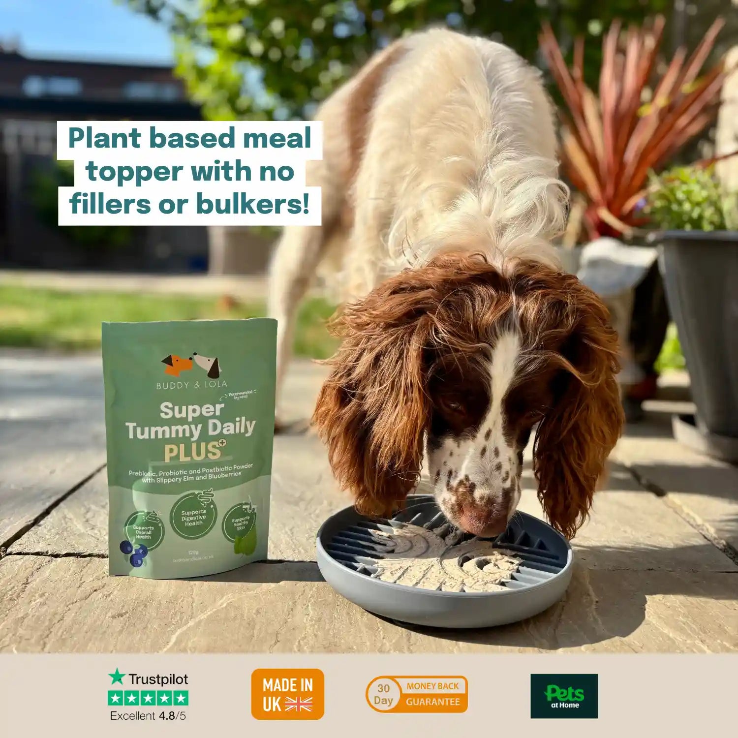 Super Tummy Daily+ Prebiotic, Probiotic Postbiotic for Dogs