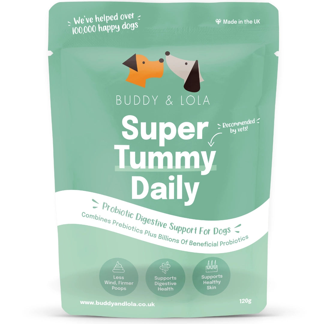 Wholesale - Super Tummy Daily Probiotics