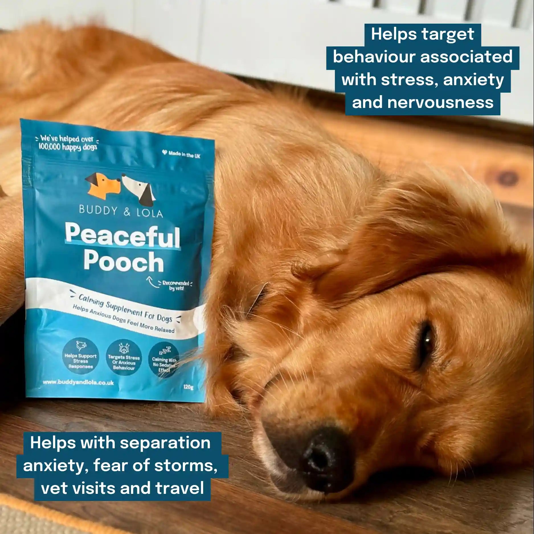 Calming support supplement for anxious dogs Buddy Lola