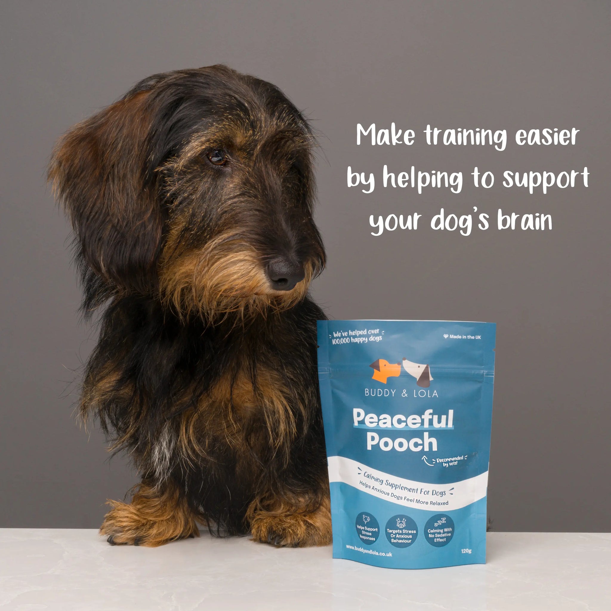 Dog sales calming powder