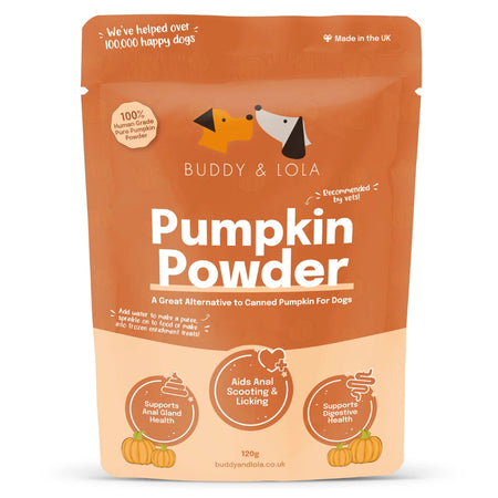 Pumpkin Powder