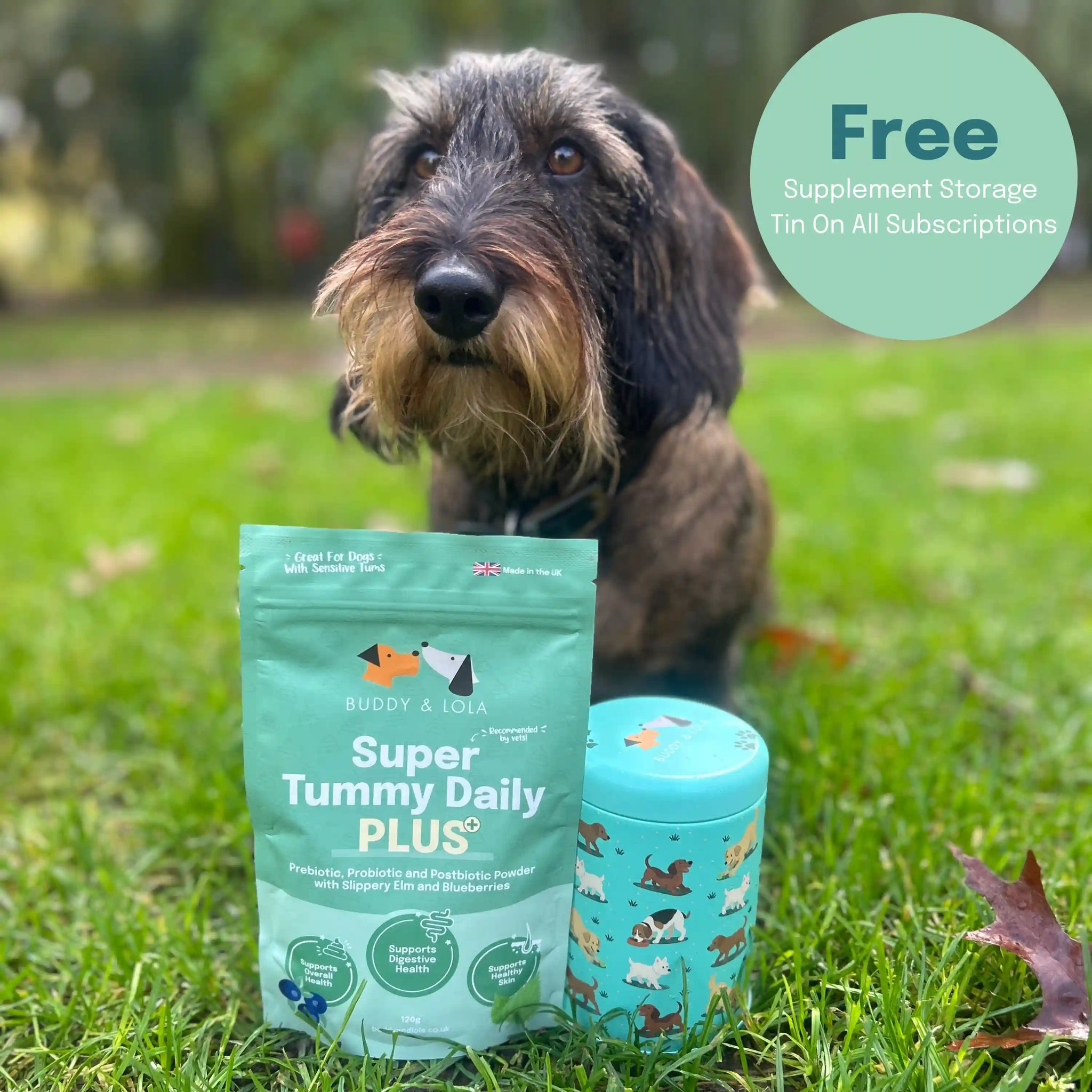 Super Tummy Daily+ Prebiotic, Probiotic Postbiotic for Dogs