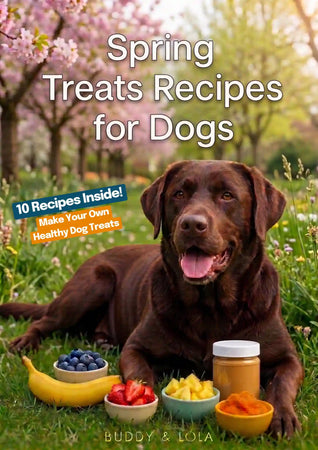 Spring Treats Recipes eBook