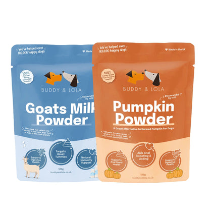 Pumpkin Latte for Dogs Bundle