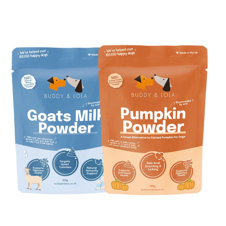 Pumpkin Latte Dogs Bundle