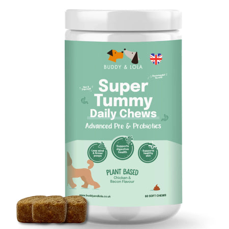 Probiotic chews dogs