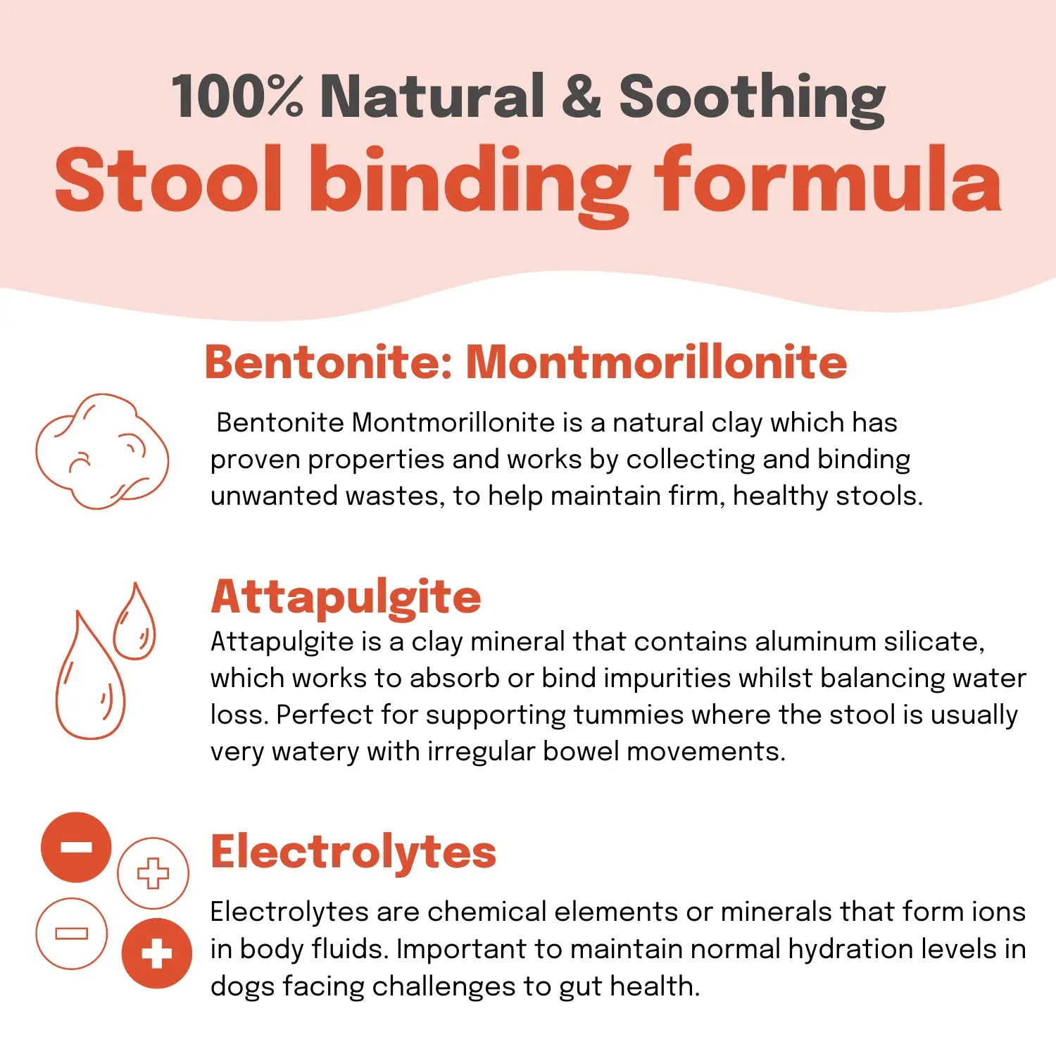 Wholesale - Super Tummy Instant