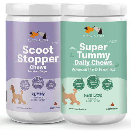 Super Tummy & Scoot Chew Bundle