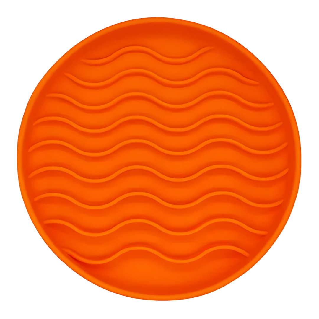 Slow Feeder Bowl Gift