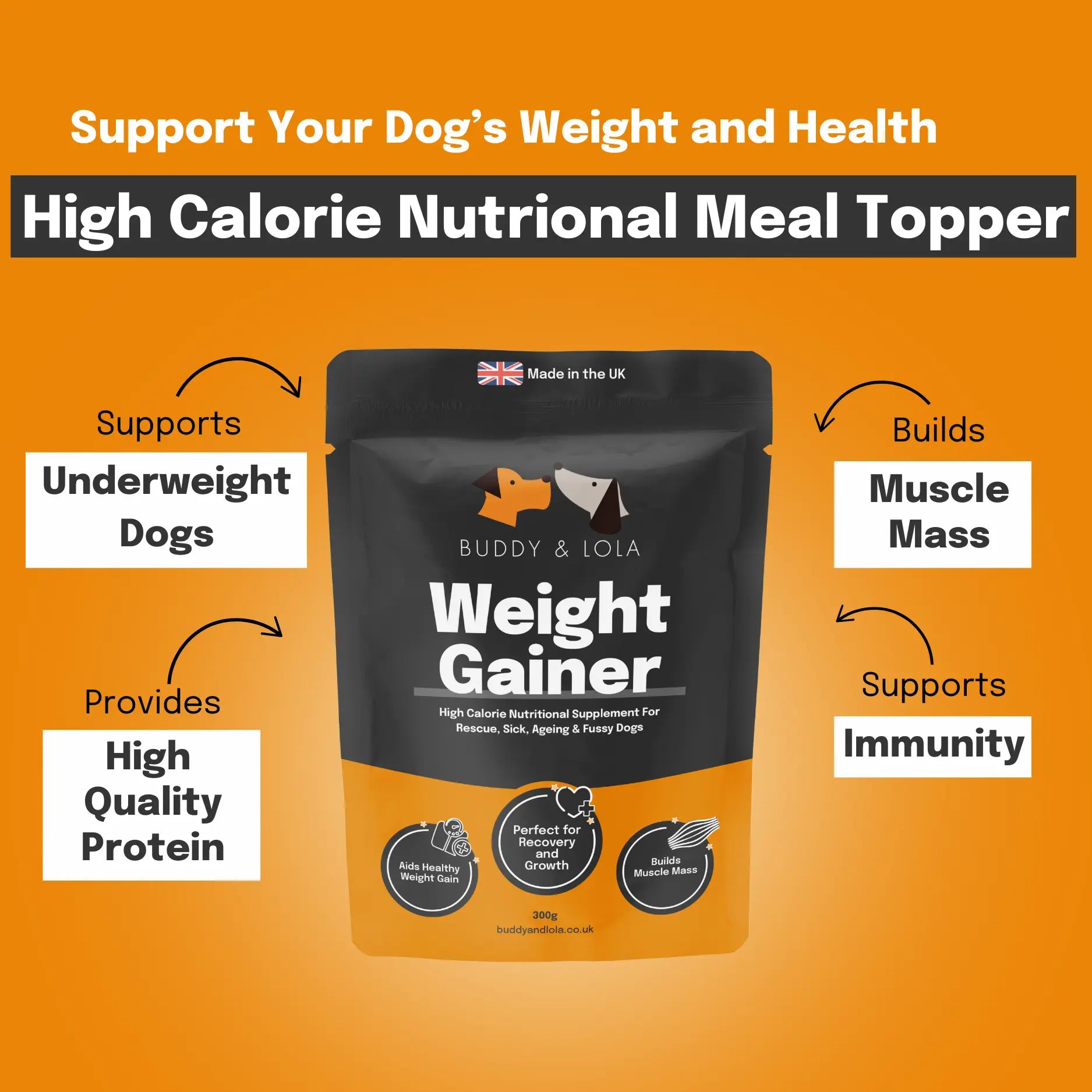 Recipe Best Dog Food To Help My Dog Gain Weight Recipe Best Food