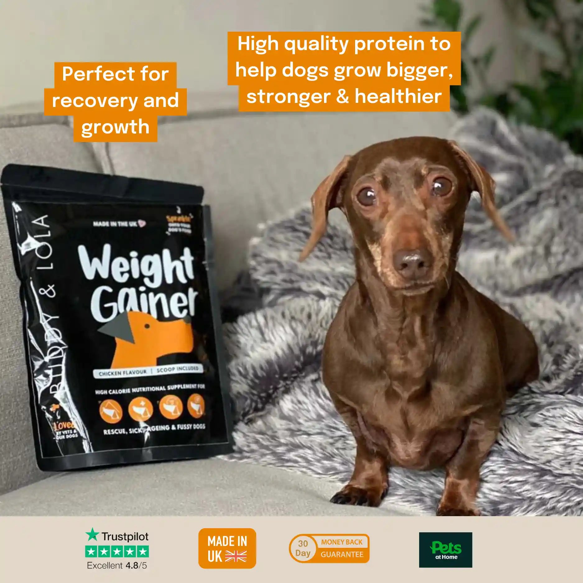Protein Powder Best Dog Food To Help Gain Weight High Calorie