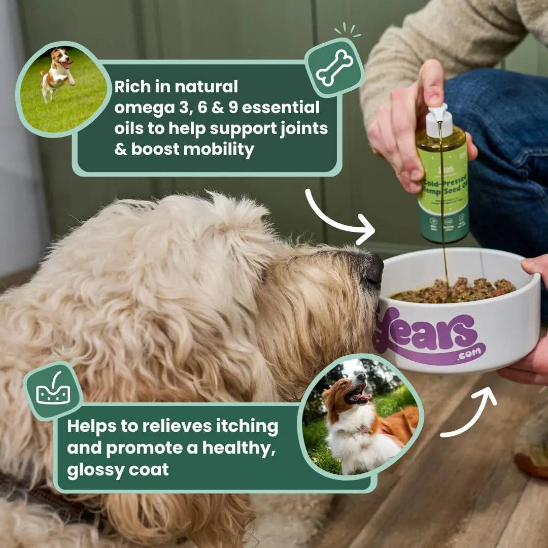Years Pure Hemp Seed Oil | Skin, Coat & Joint Support for Dogs