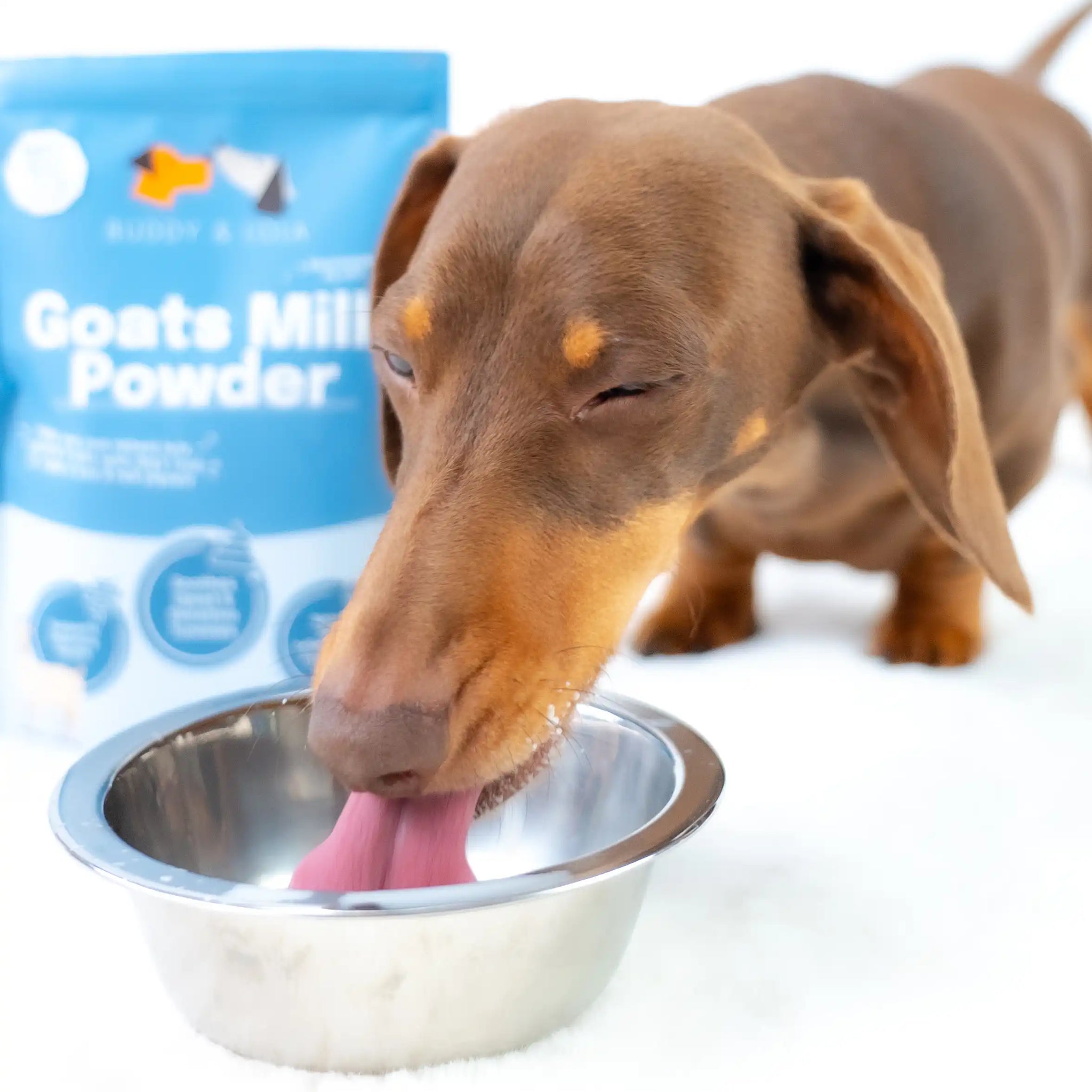 Wholesale - Goats Milk Powder